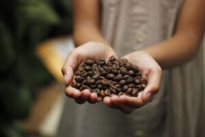 Top 10 Organic Coffee Brands